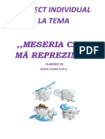 Proiect Profesia Mea