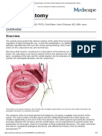 Anatomia pleoapelor