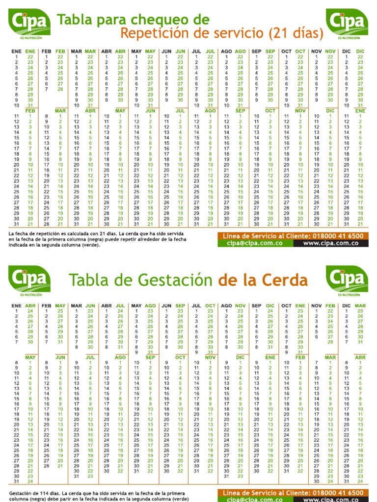 Tabla Gestacion Cerdas v2 PDF PDF