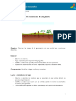 3° El Crecimiento de Una Planta