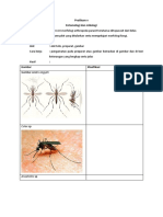 Praktikum Farmasi