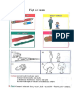 Fișă de Lucru 3