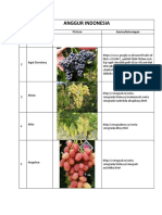 Vine PDF