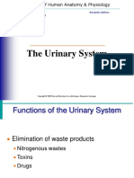 The Urinary System