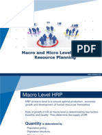 Macro and Micro Level HRP