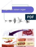 Organ Dan Sistem Organ (2) - 1