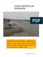 Perfil - Puente Caqui PDF
