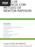 Fluxo Pot Newton Raph