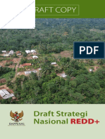 Draft Startegi Nasional REDD+