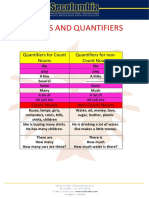 Nouns and Quantifiers