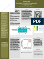 BioSolar Cells