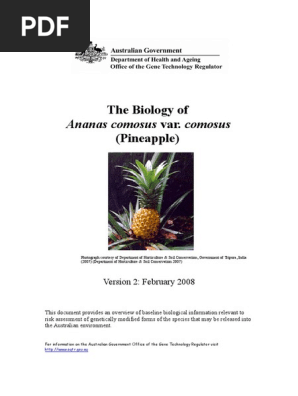 pineapple