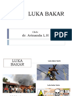 Luka Bakar