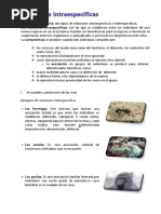 Relaciones Intraespecíficas