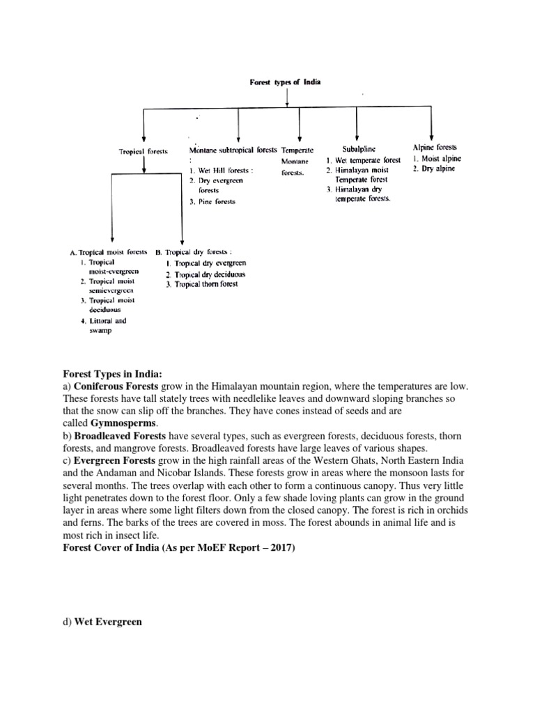 Forest In India PDF Trees Forests