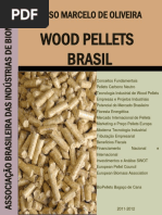 BRASIL BIOMASSA E ENERGIA RENOVÁVEL