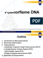 018 5 Polimorfisme