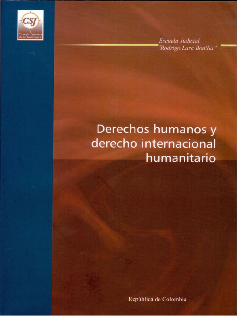 Derechos Humano y Dih | PDF | Plan de estudios | Derechos humanos