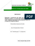 Cultivo de rábano negro para tratar problemas biliares