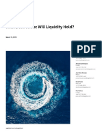 Next Debt Crisis - Will Liquidity Hold PDF