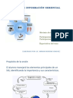 10723092-Sistemas-de-informacion-gerencial.pptx