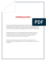 Procedimientos_De_Auditoria_Para_Gastos.docx