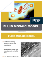 Fluid Mosaic Model: 1 M.Bregar (Dante C.S.S.)