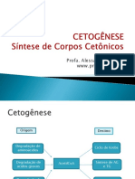 Cetogênese.pdf