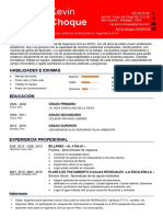 01 Curriculum Vitae Kevin Choque