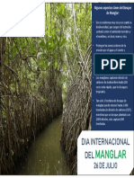 Informacion Manglar PDF