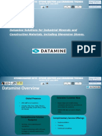 S4.1. Datamine Solutions for DS and IM.pdf
