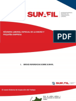 SUNAFIL