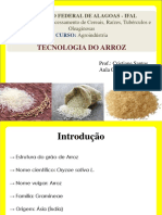 Tecnologia do beneficiamento do arroz