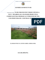 3005 Ingeniria de Proyecto de Mejoramiento de Post Cosecha de Papa PDF
