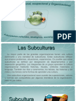 Subculturas Organizacionales PDF