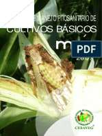 Folleto Maiz 07 PDF