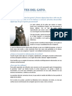 Bigotes del  gato.pdf