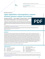 Lignin Degradation