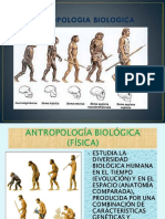 Antropologia Biologica