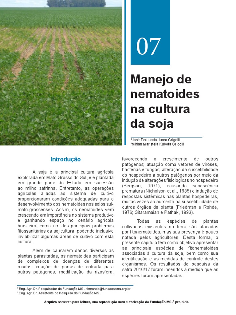 MANEJO DE PLANTAS DANINHAS DA SOJA. .pptx