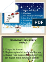 MORFOLOGI TUMBUHAN PPT Klmpok 1