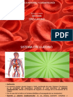 Sistema Cardiovascular - Circulatorio