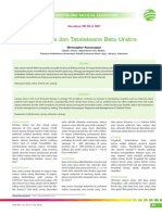 CME-Diagnosis dan Tatalaksana Batu Uretra.pdf