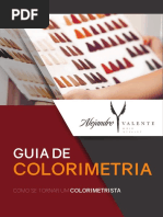 E-book Guia de Colorimetria Capilar.pdf