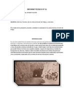 Informe-01-Tunel-De-Palpa Trillo