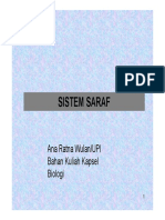 sistem_saraf.pdf