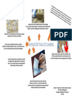 Actividad 7. Mapa Mental. Variación Tasa de Cambio