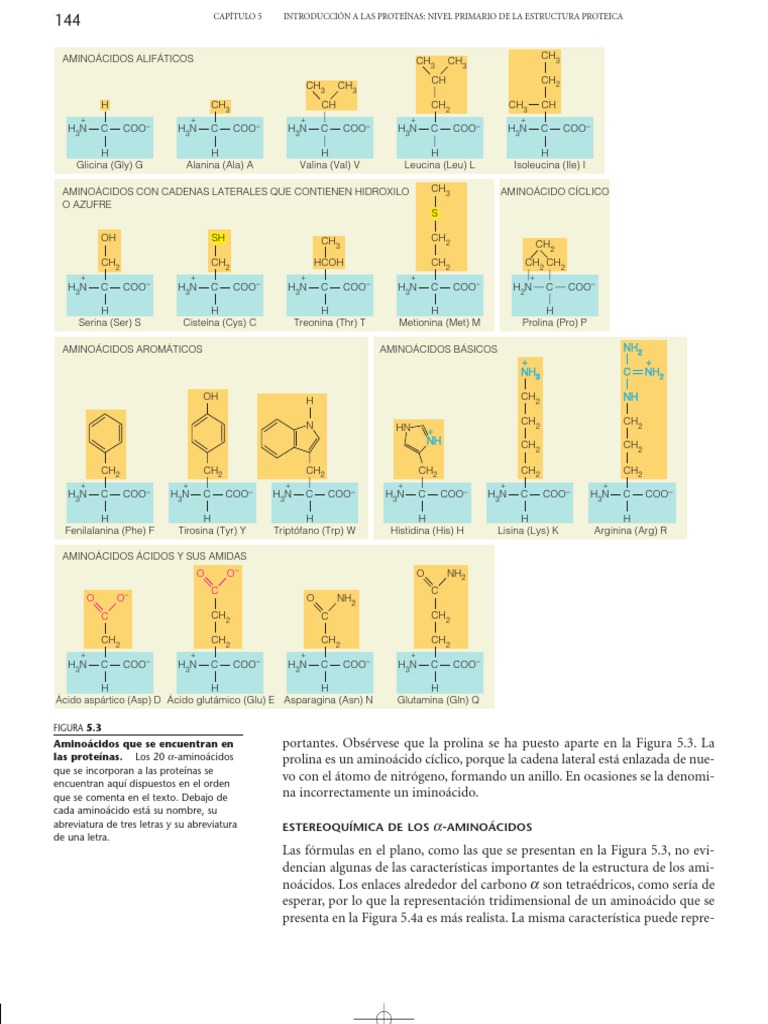 Tabla de Los 20 Aminoácidos Aminoácidos Grupo funcional