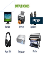 OUTPUT DEVICES.docx