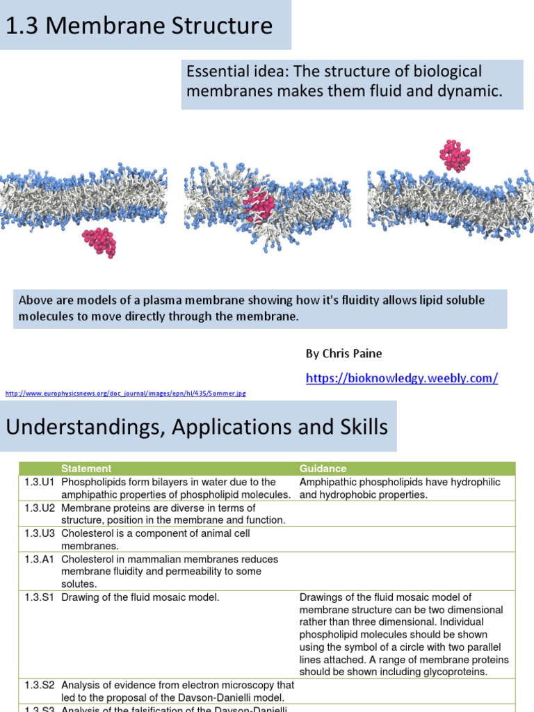 1.3 Membrane Structure: Essential Idea: The Structure of Biological ...